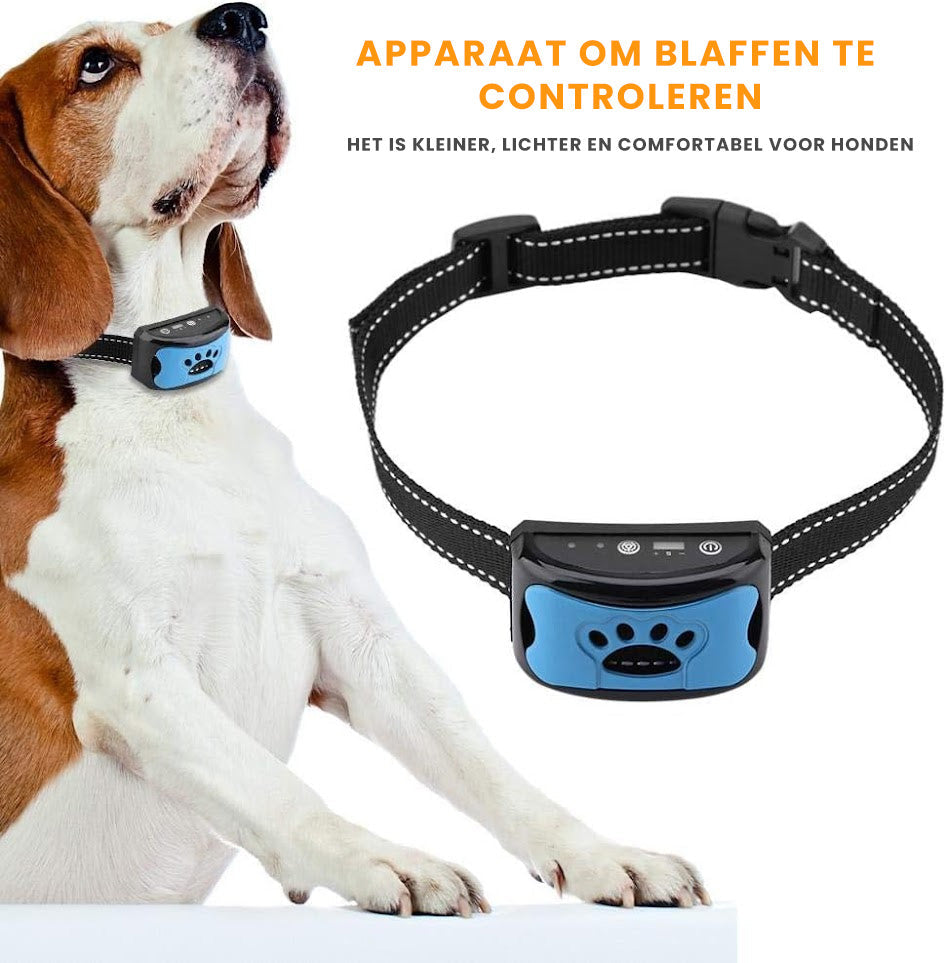 Collier Anti Aboiement pour l'Entraînement des Chiens