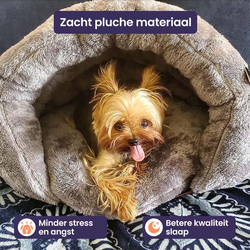 Lit pour Chien Douillet