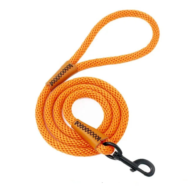 Laisse pour Chien Robuste et Durable avec Crochet Solide