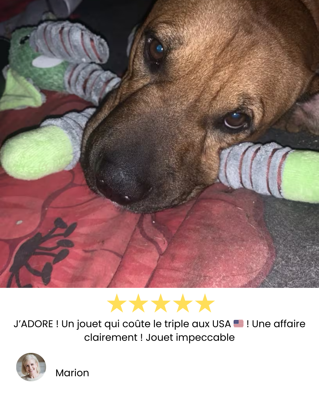 Peluches à mâcher solides