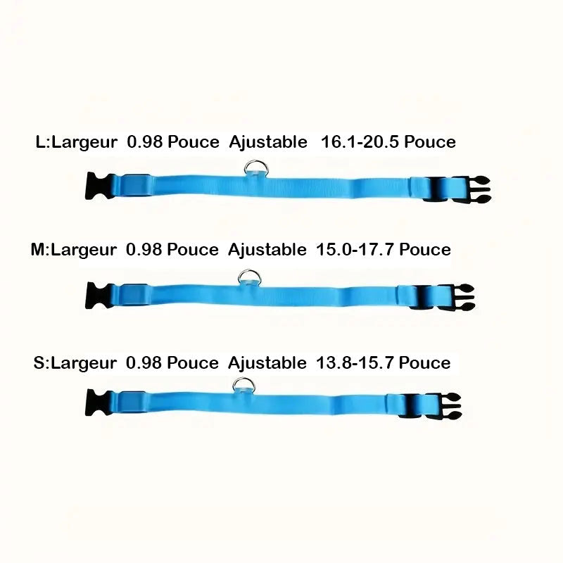 Collier LED réglable