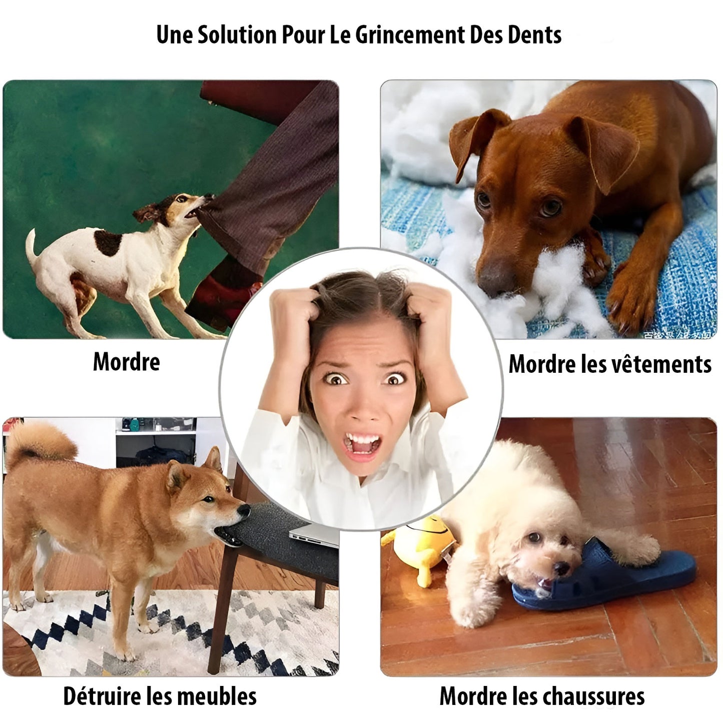 Balle à mâcher