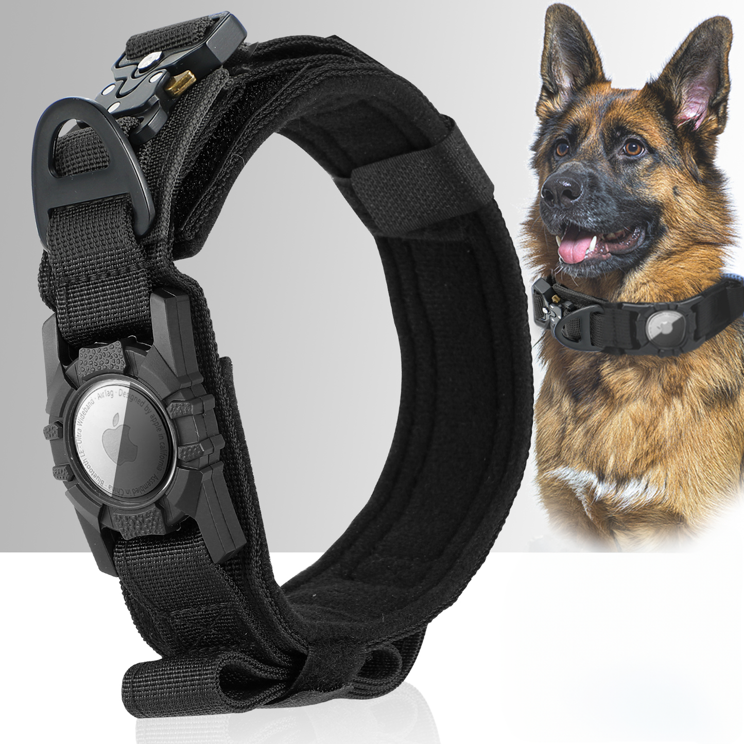 Collier de Chien Solide et Tactique avec Support pour Air Tag