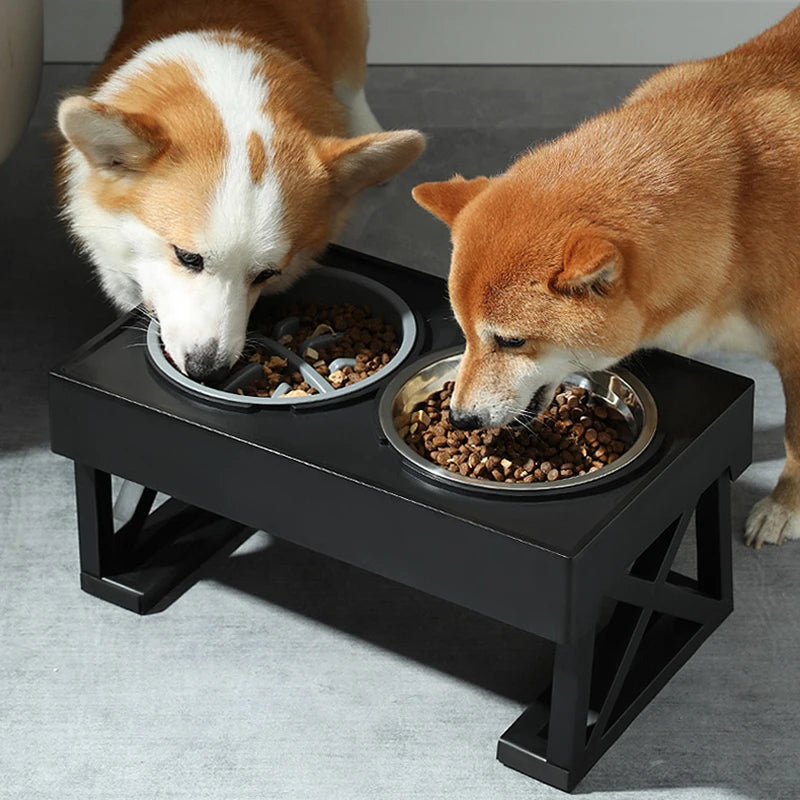 BowWow™ | Gamelle pour chien réglable en hauteur avec option de nourriture lente