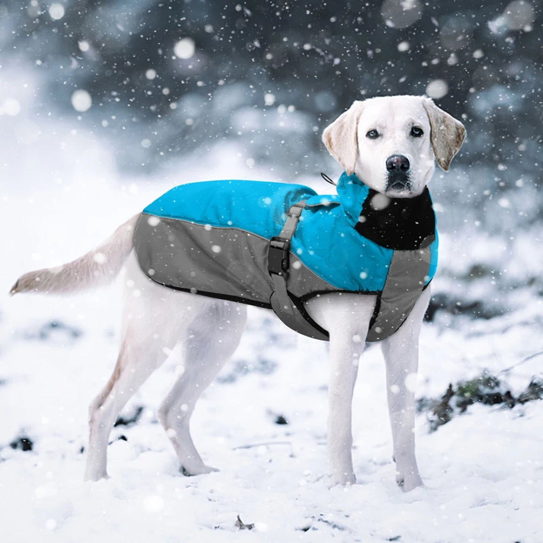 ChillCoat™ | Veste d'Hiver Imperméable Avancée Pour Chiens