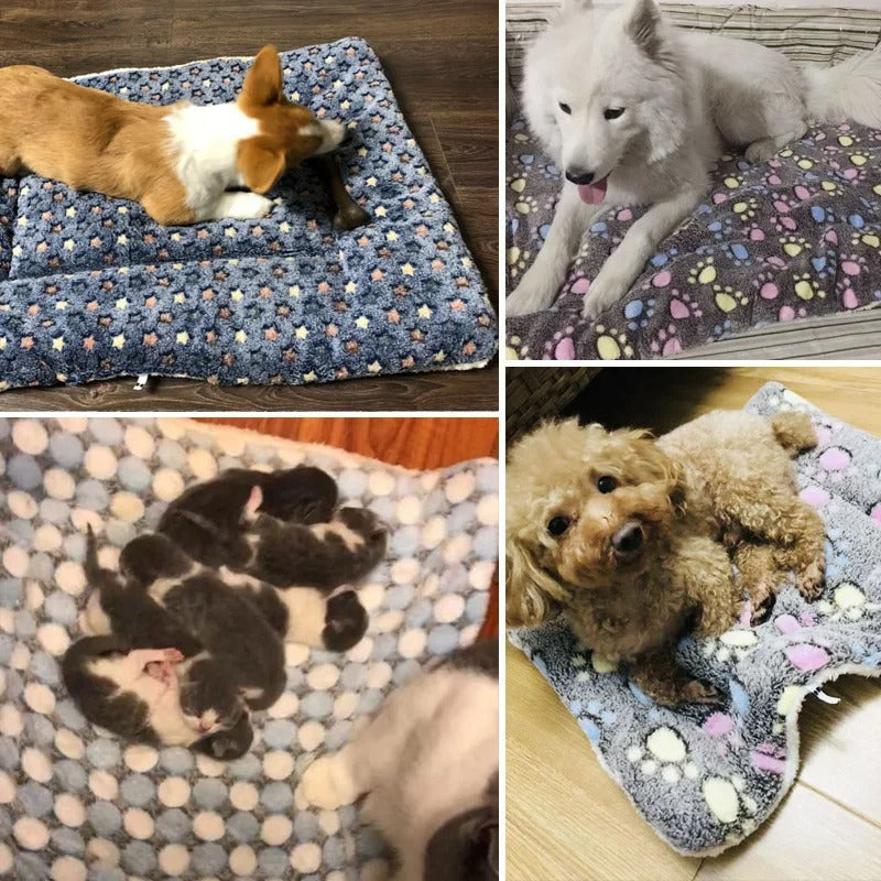 Couverture en Fleece Douce pour Chiens