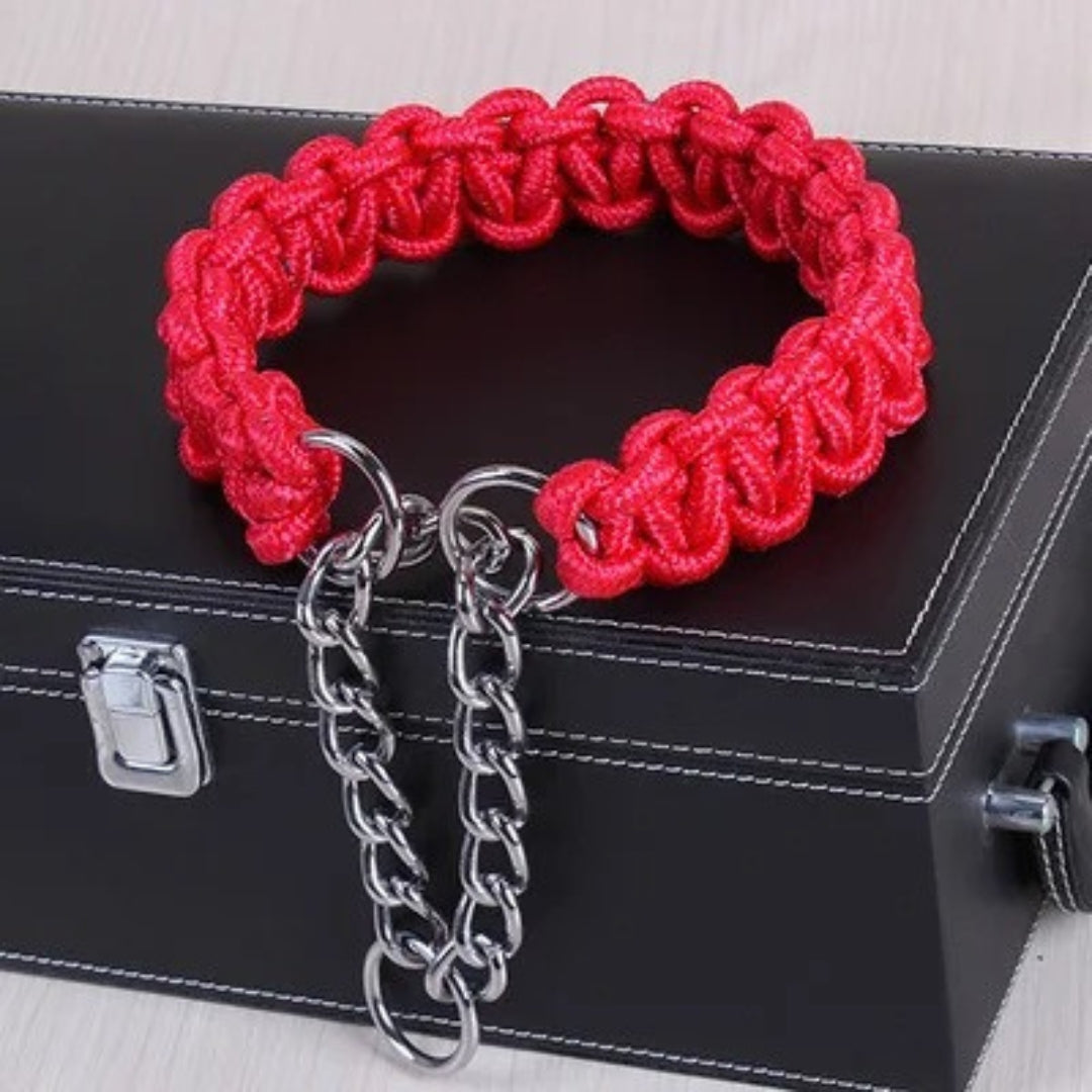 Collier en Nylon Tissé pour Chien Résistant