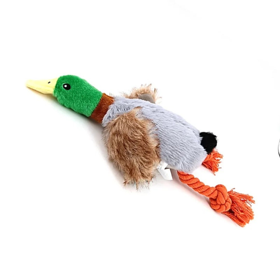 Canard en Peluche Jouet à Mordre Bruits Sifflants Soins Dentaires Durable Sûr pour Chiens