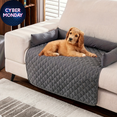 Montavi | Le Cocon de Canapé™