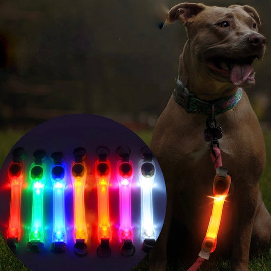 Collier LED de Sécurité Lumineux pour Chiens
