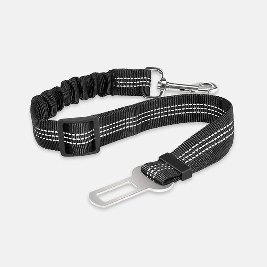 Ceinture de Sécurité Auto pour Chiens