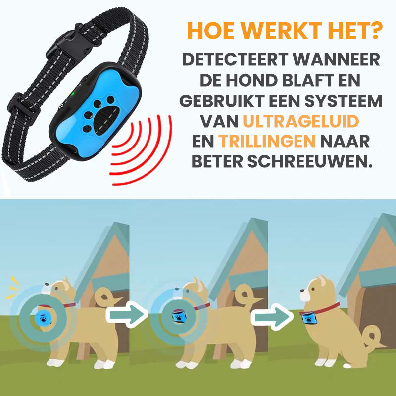 Collier Anti Aboiement pour l'Entraînement des Chiens