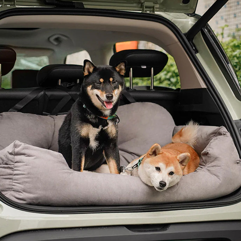 Caisse de Voyage pour Chiens Orthopédique Grande