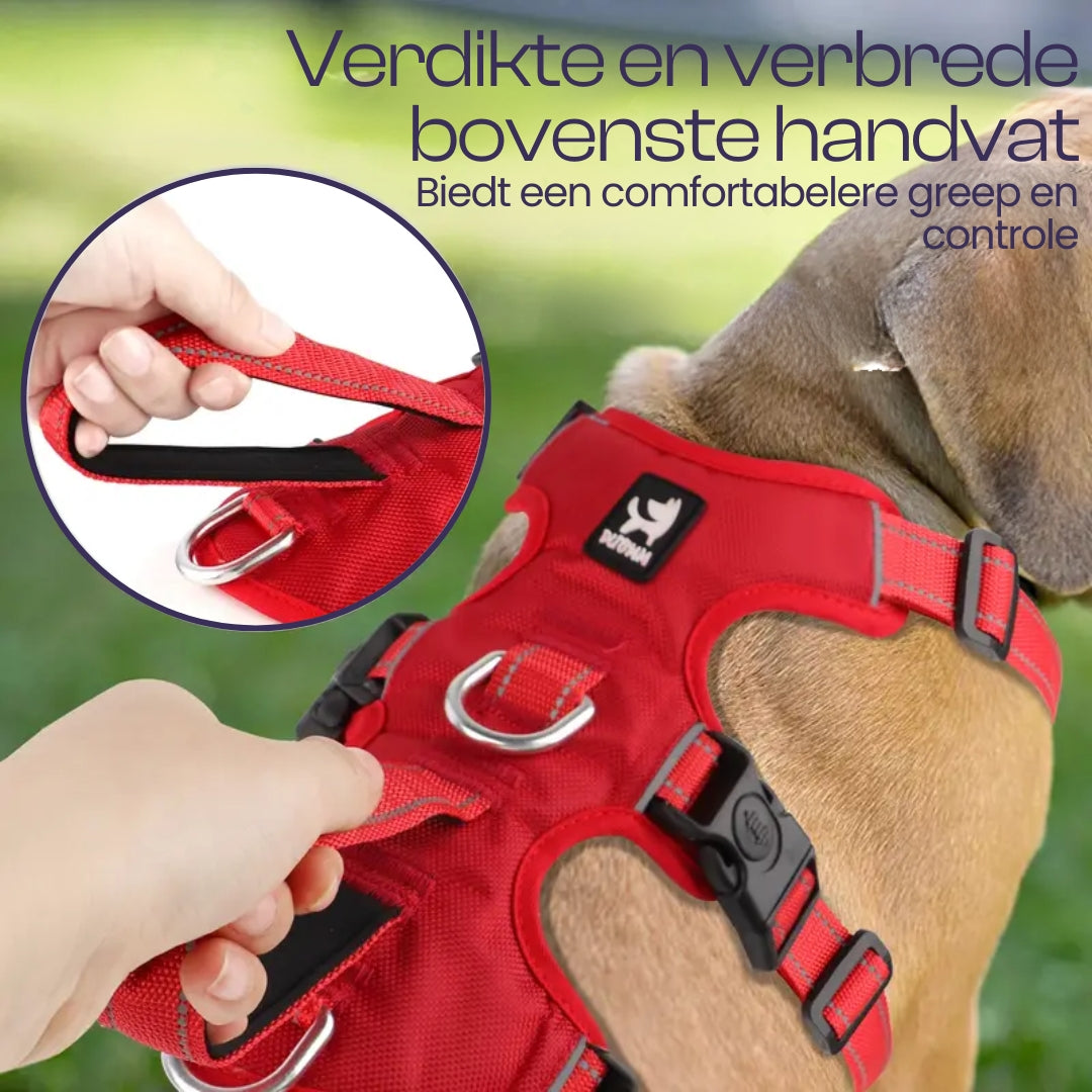 Harnais Anti-Evasion pour Chien avec 3 Points de Fixation Réfléchissants