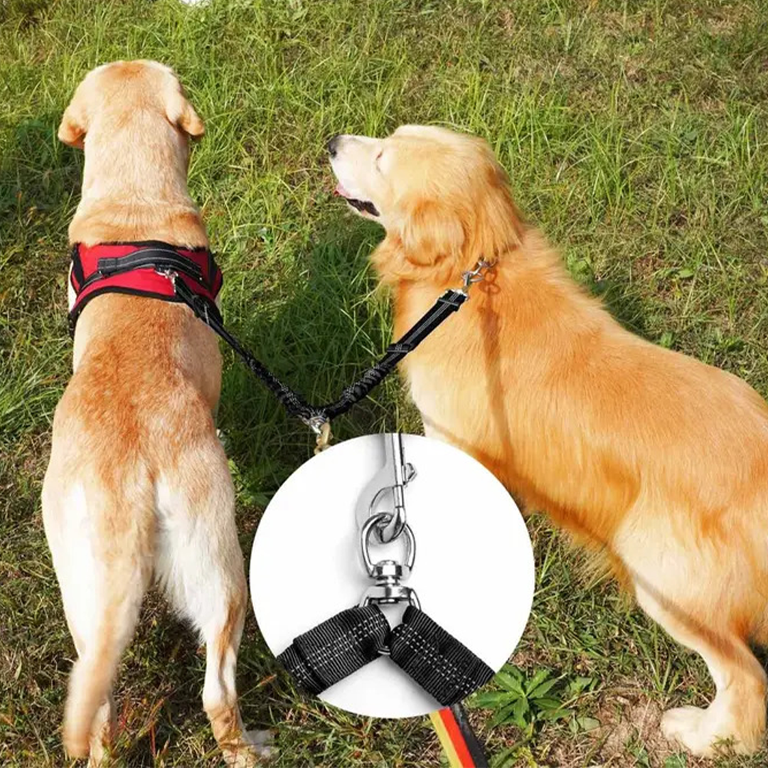 Séparateur de laisse pour 2 chiens