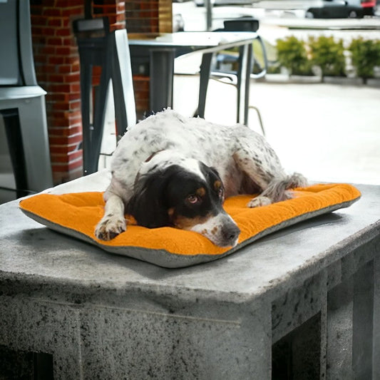 Coussin de Chien Lavable