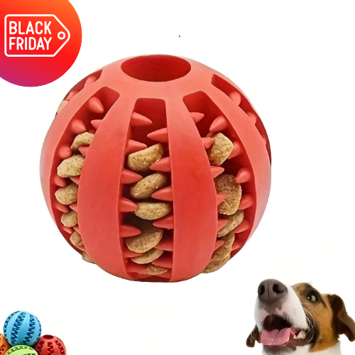 Balle à mâcher