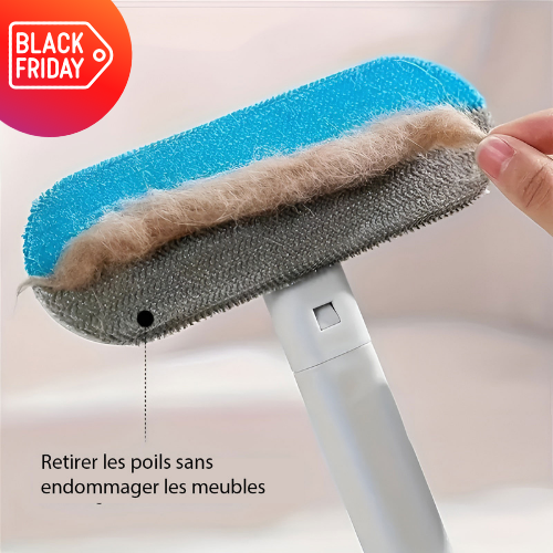 Éliminateur de poils