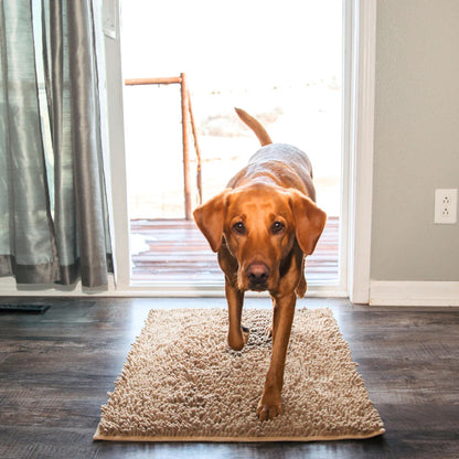 Tapis CleanPaw | Tapis de Propreté pour Chiens