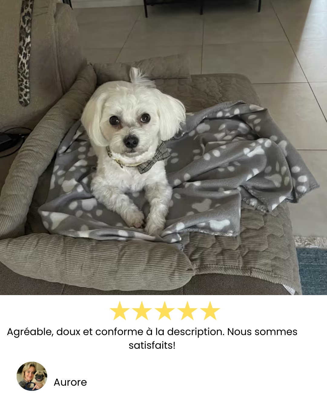 Montavi | Le Nid Douillet™