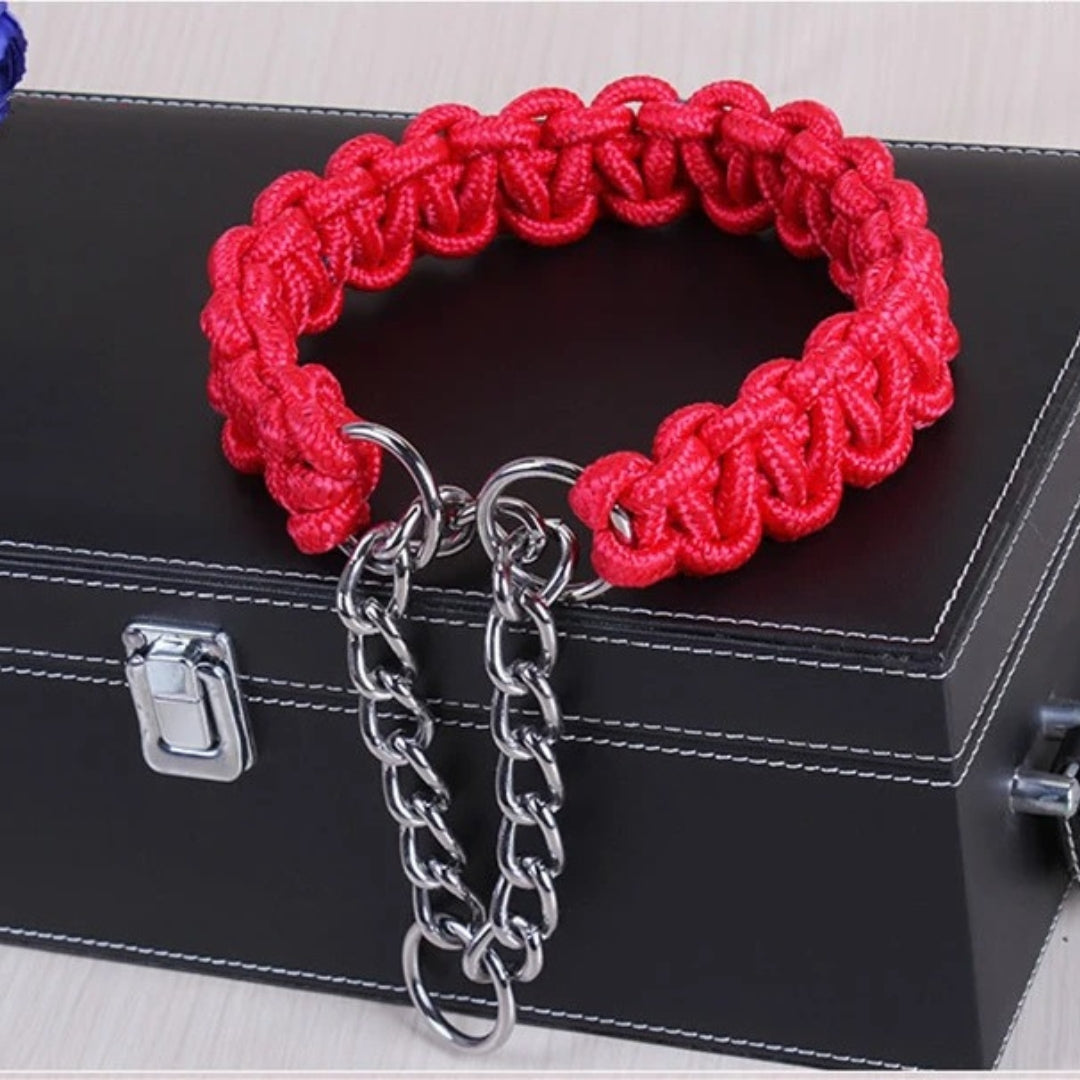 Collier en Nylon Tissé pour Chien Résistant