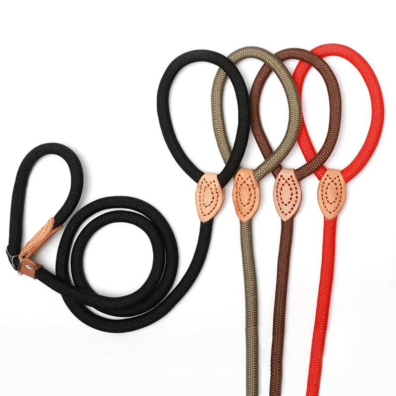 Ceinture anti-traction tressée durable pour chiens