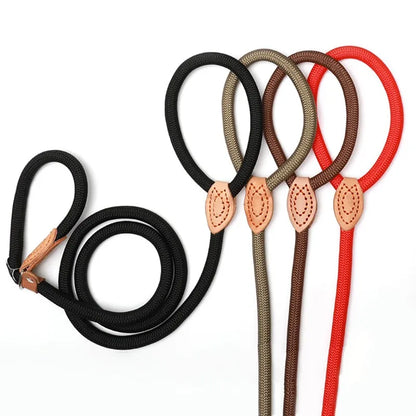 Ceinture anti-traction tressée durable pour chiens
