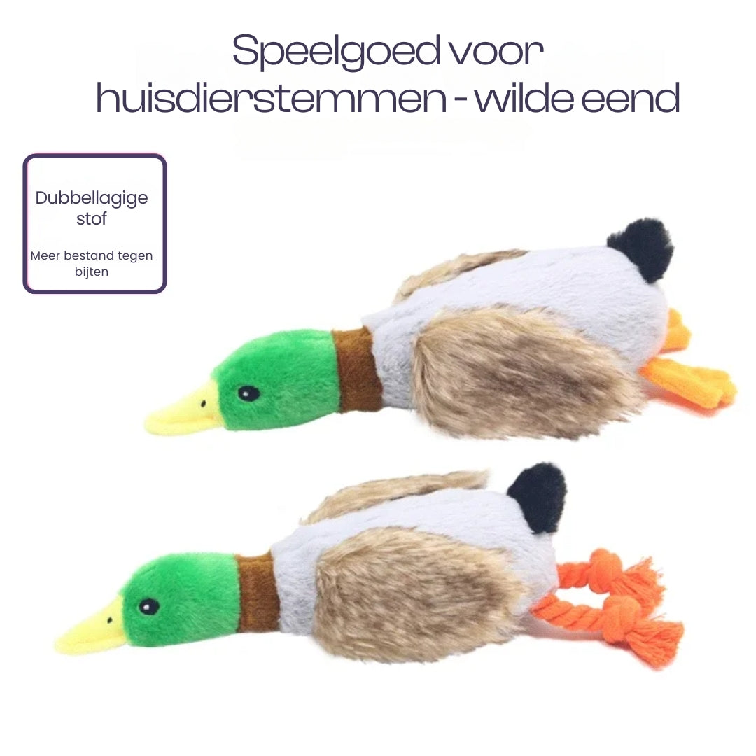 Canard en Peluche Jouet à Mordre Bruits Sifflants Soins Dentaires Durable Sûr pour Chiens