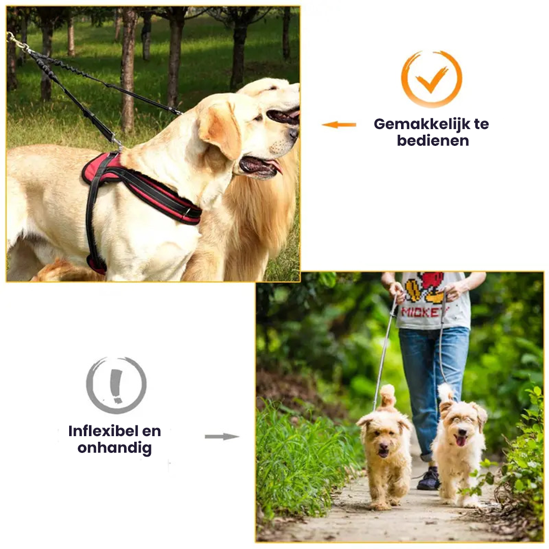 Séparateur de laisse pour 2 chiens