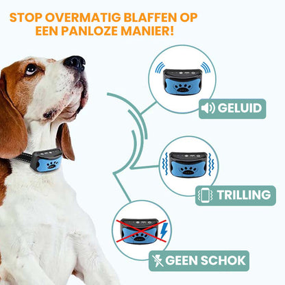 Collier Anti Aboiement pour l'Entraînement des Chiens