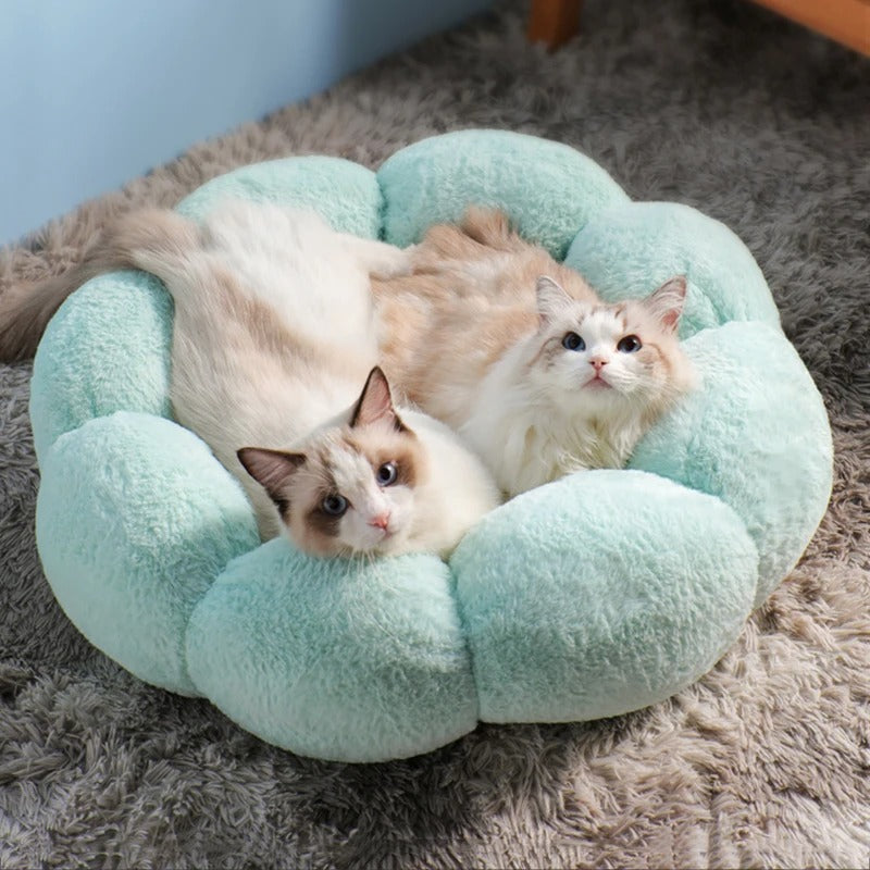 Coussin pour Chat en Forme de Fleur Auto-chauffant Lavable et Universel pour Toutes les Saisons