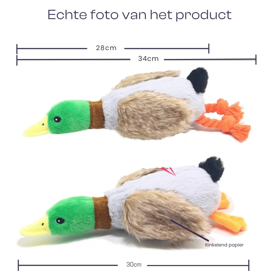 Canard en Peluche Jouet à Mordre Bruits Sifflants Soins Dentaires Durable Sûr pour Chiens