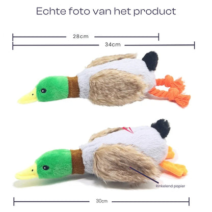 Canard en Peluche Jouet à Mordre Bruits Sifflants Soins Dentaires Durable Sûr pour Chiens