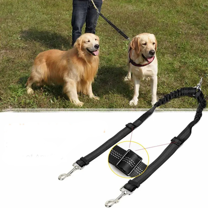 Séparateur de laisse pour 2 chiens