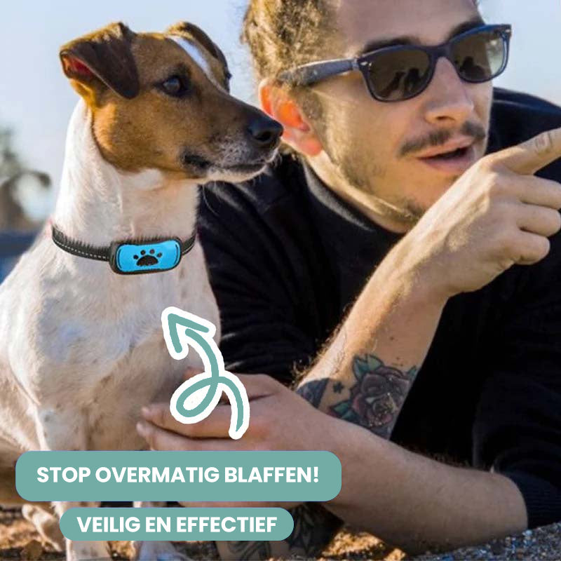 Collier Anti Aboiement pour l'Entraînement des Chiens