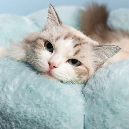 Coussin pour Chat en Forme de Fleur Auto-chauffant Lavable et Universel pour Toutes les Saisons