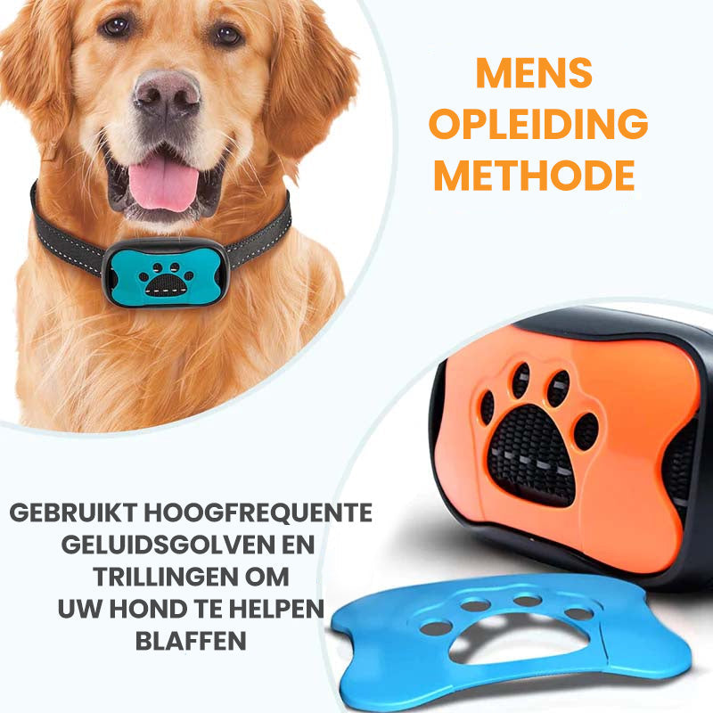 Collier Anti Aboiement pour l'Entraînement des Chiens