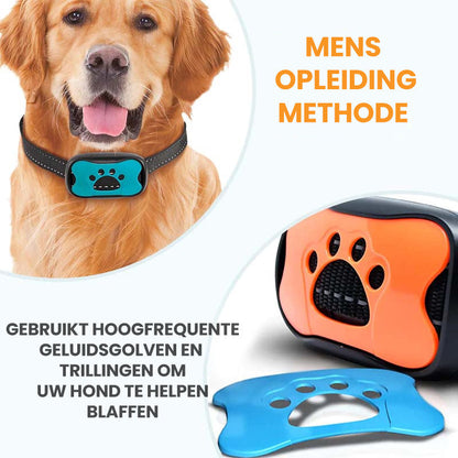 Collier Anti Aboiement pour l'Entraînement des Chiens