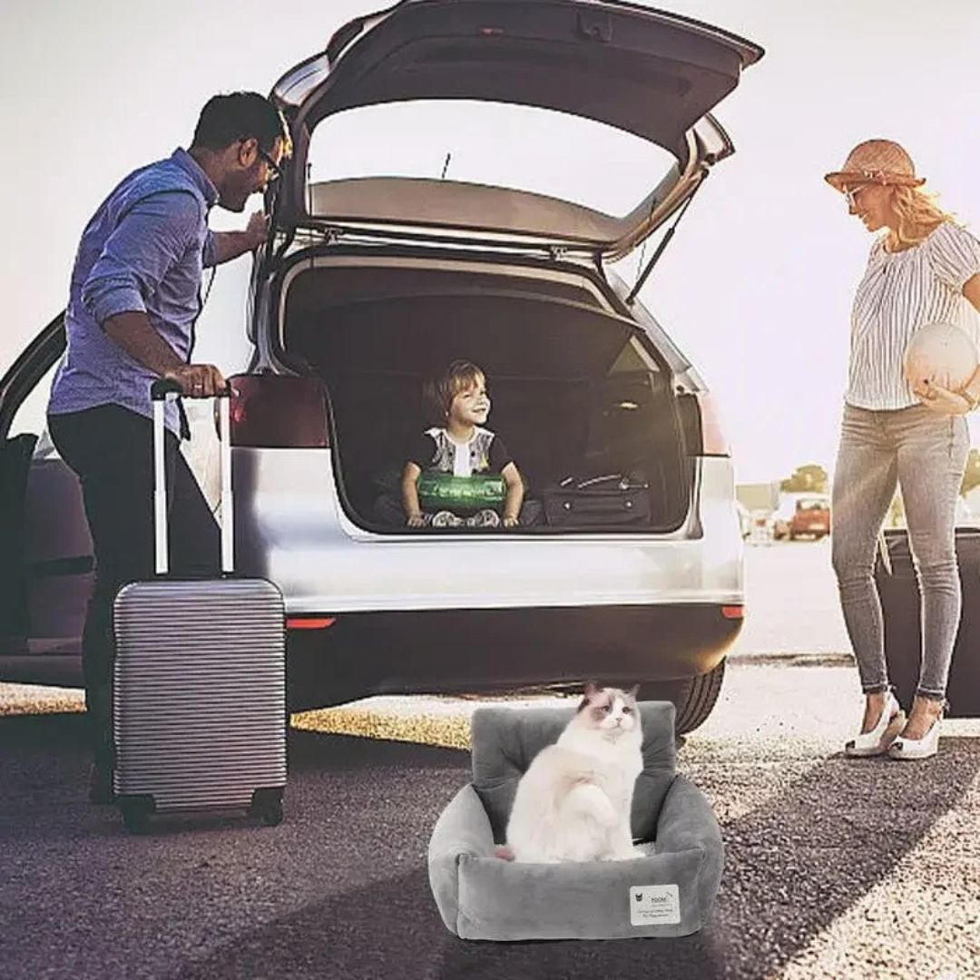 Rehausseur de Siège Auto en Peluche pour Chiens Confortable et Sûr avec Housse Lavable en Machine