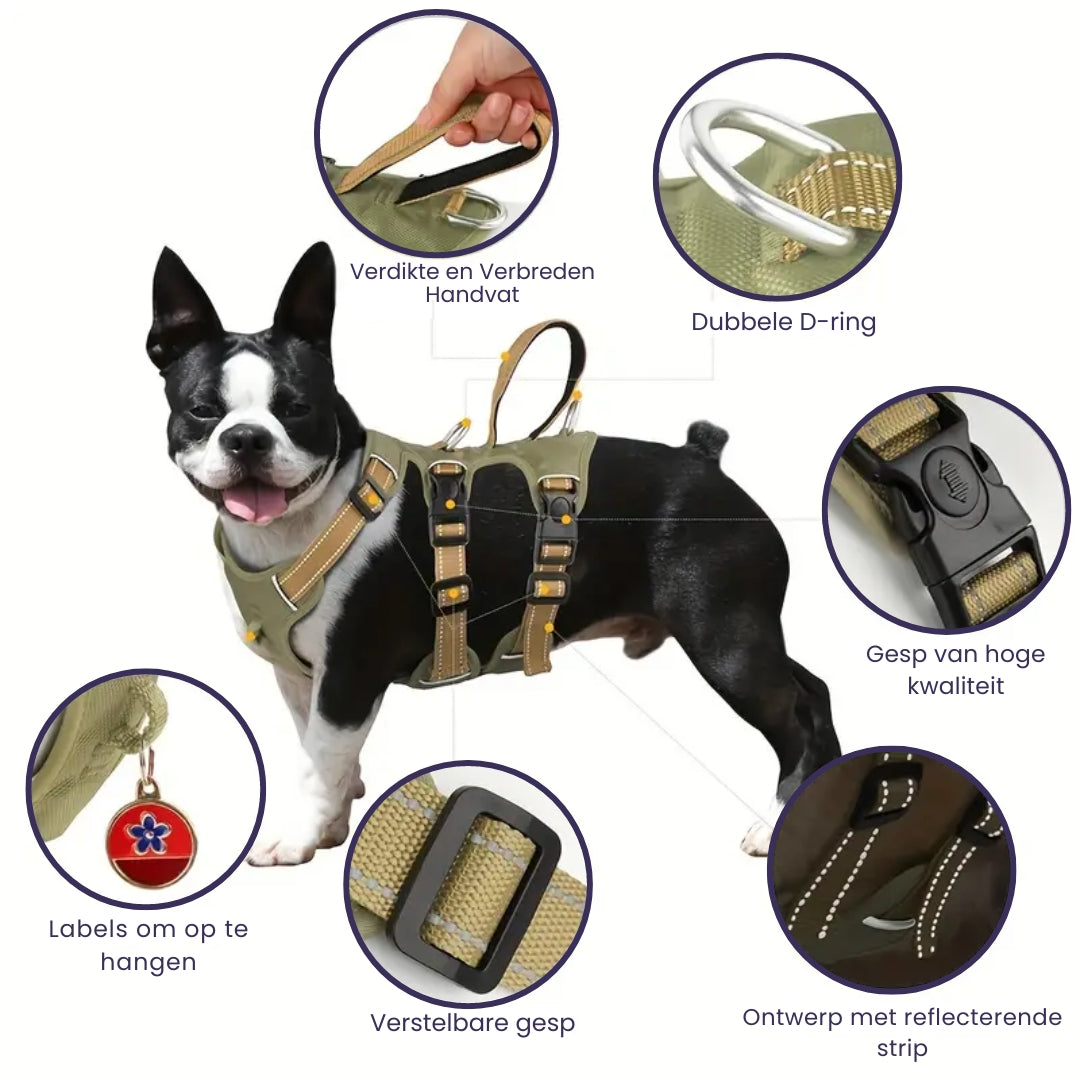 Harnais Anti-Evasion pour Chien avec 3 Points de Fixation Réfléchissants