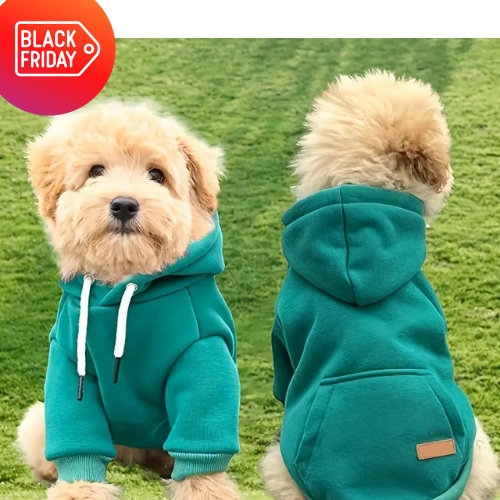 Pull-over pour chien