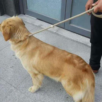 Ceinture anti-traction tressée durable pour chiens