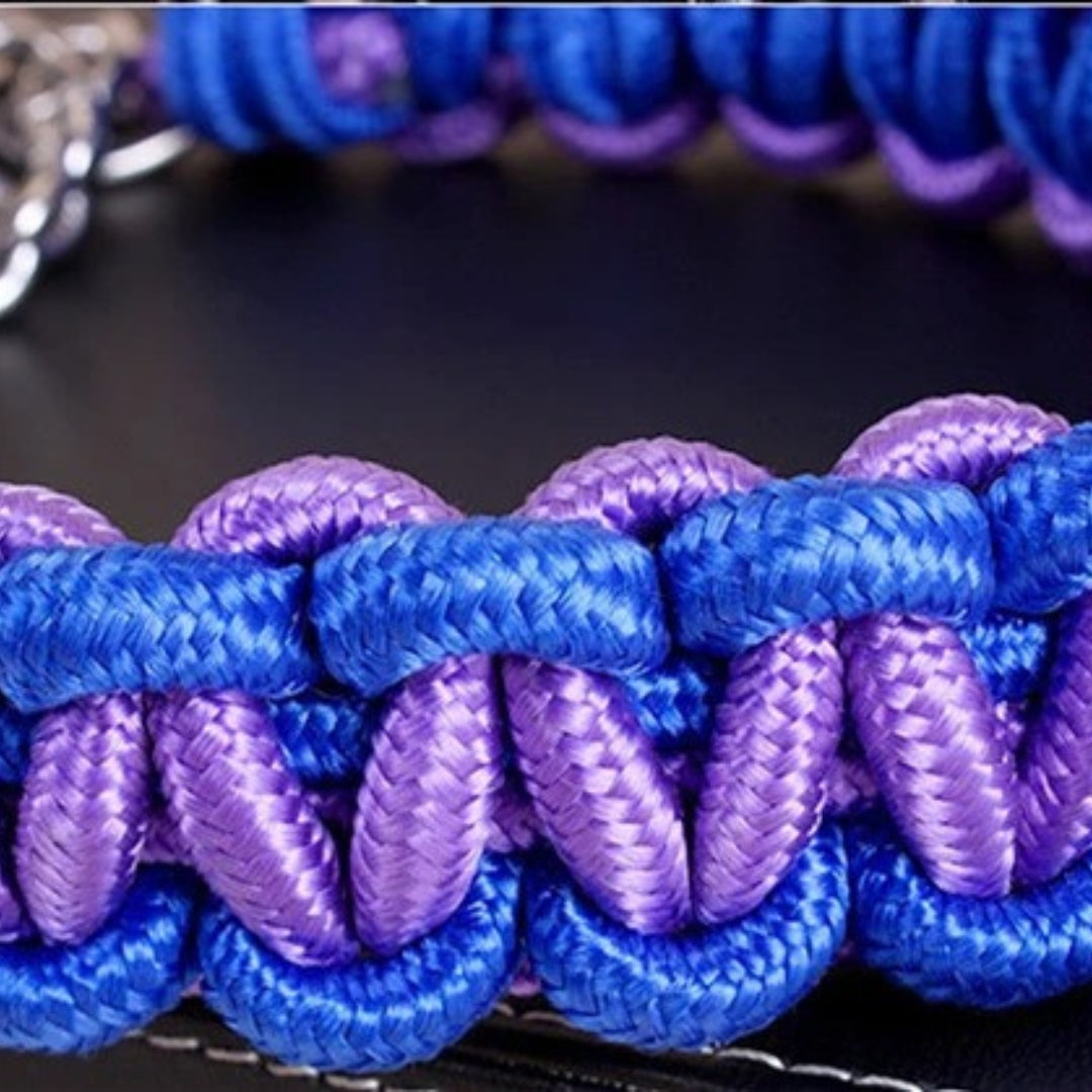 Collier en Nylon Tissé pour Chien Résistant
