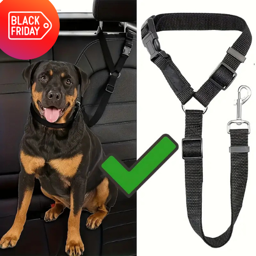 Sangle auto chien réglable