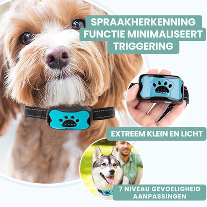 Collier Anti Aboiement pour l'Entraînement des Chiens