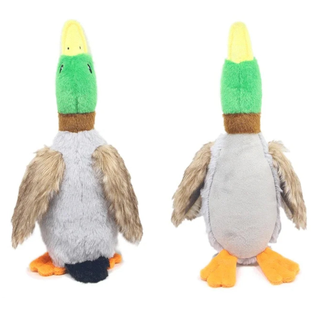 Canard en Peluche Jouet à Mordre Bruits Sifflants Soins Dentaires Durable Sûr pour Chiens