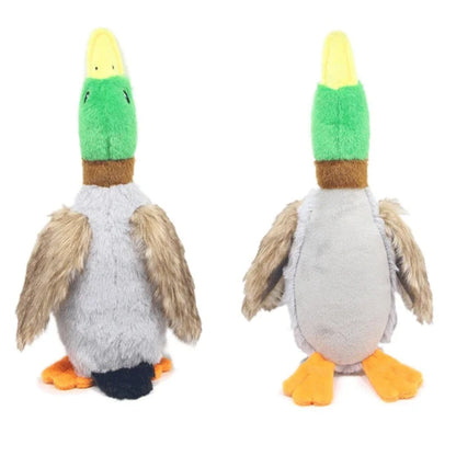 Canard en Peluche Jouet à Mordre Bruits Sifflants Soins Dentaires Durable Sûr pour Chiens