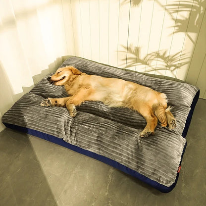 Coussin Orthopédique pour Chiens avec Housse Amovible