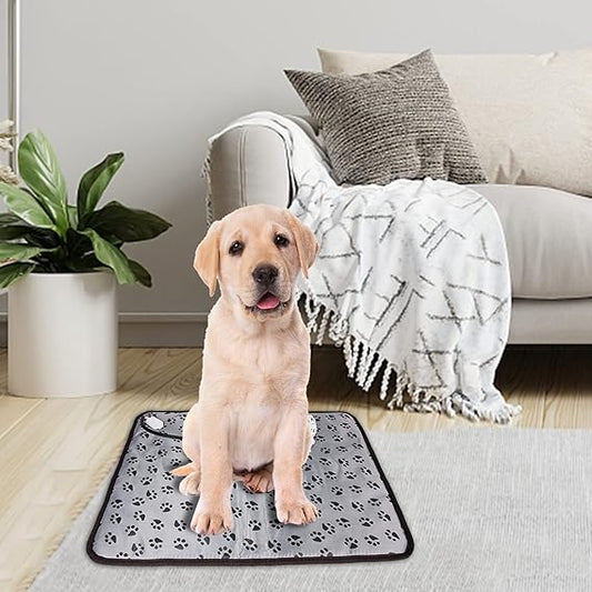 Coussin Chauffant Électrique pour Animaux de Compagnie Contre le Froid