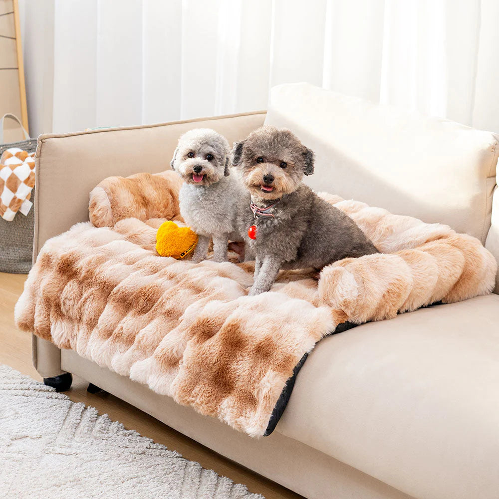 Canapé Convertible Douillet Pour Chiens